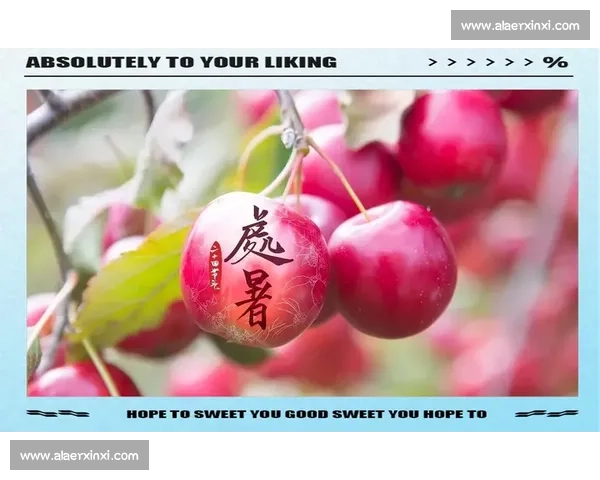 处暑时节万物渐收凉风送秋意丰收在望人间迎来最美季节