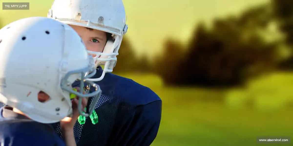 为什么选择我们